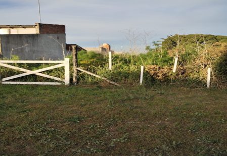 lote