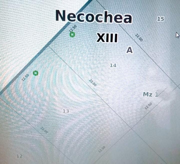 Lotes (disponible el 13)